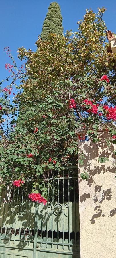 Athenian Asty Guesthouse מראה חיצוני תמונה